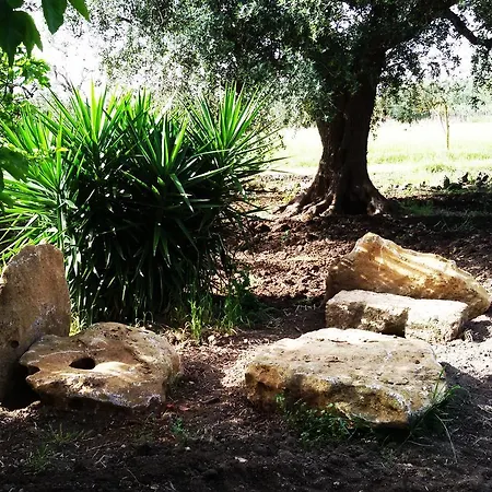 La Corte Degli Ulivi * Villa Castelli